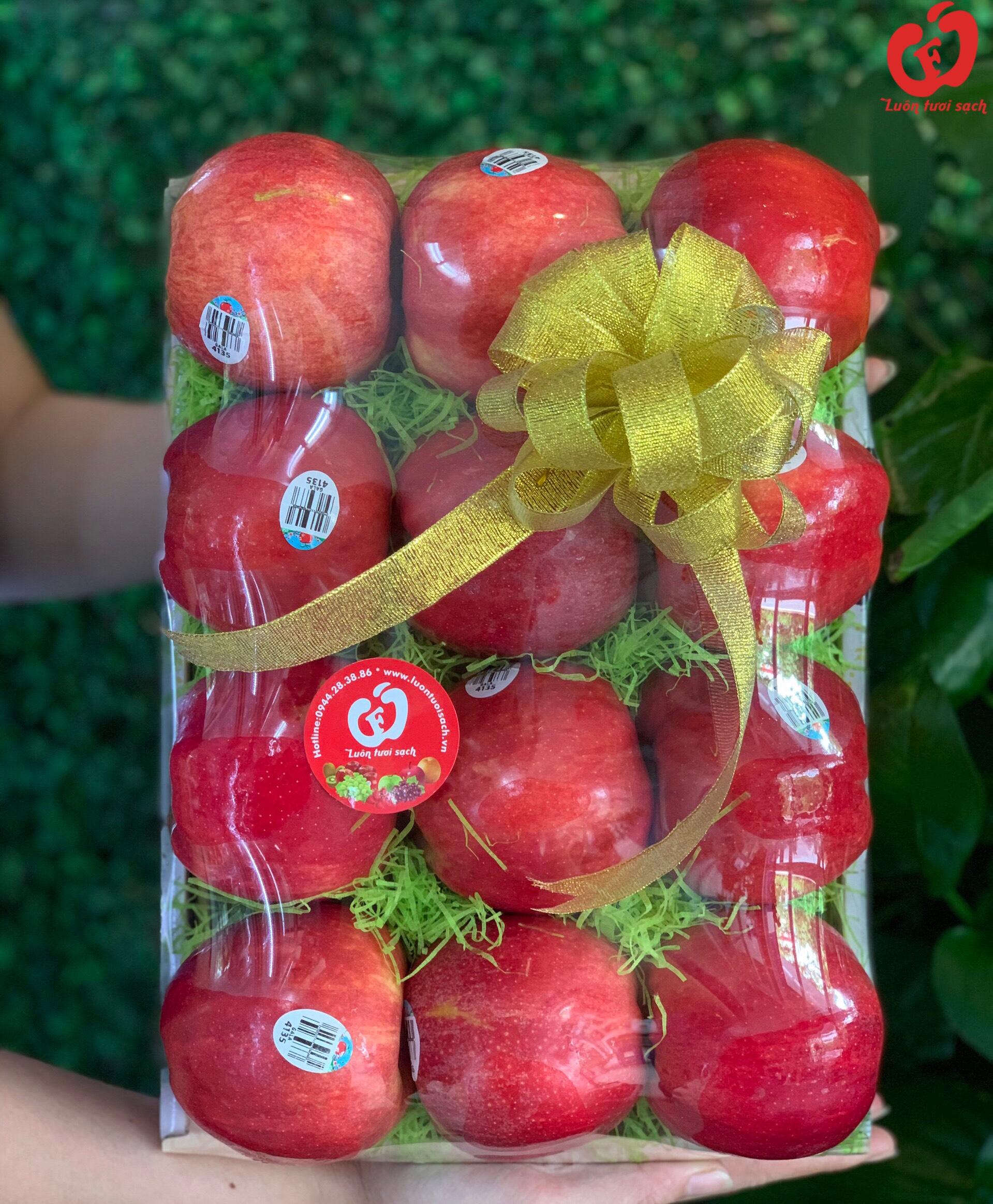 Hộp quà táo Gala Mỹ